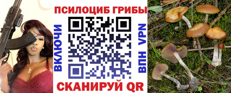 Псилоцибиновые грибы Cubensis  Иваново 