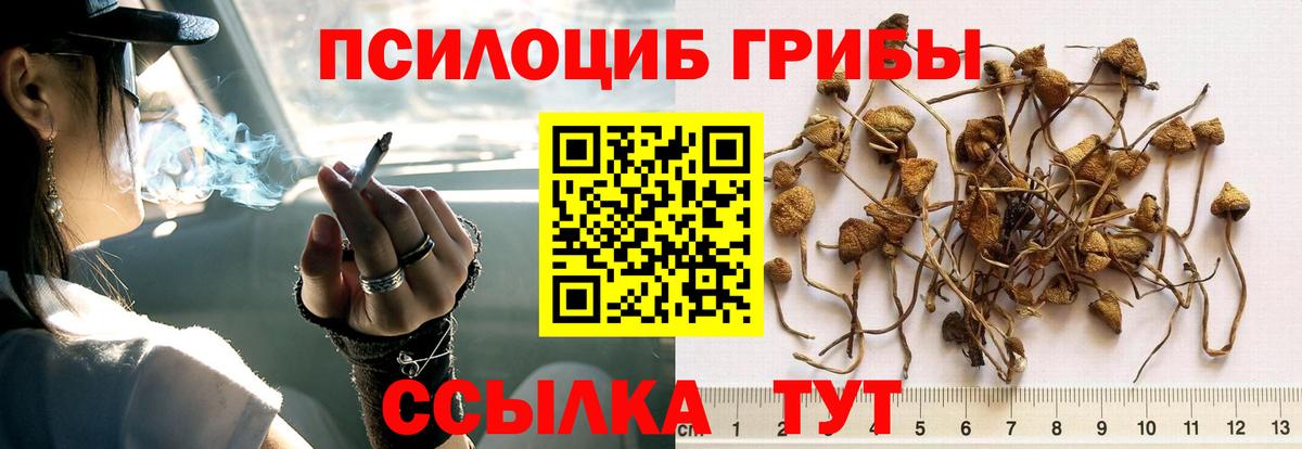 Иваново  купить наркотики сайты  Галлюциногенные грибы прущие грибы  Вход с VPN  Галлюциногенные грибы Cubensis 